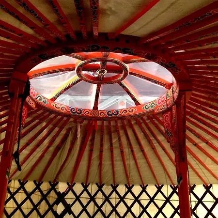 Yurt شقة