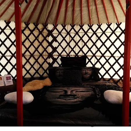 Yurt * Zaandam